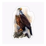 Araba İçin Kartal Oto Sticker Yapıştırması Etiket 17cm A4