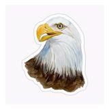 Araba İçin Kartal Oto Sticker Yapıştırması Etiket 17cm A6