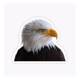 Araba İçin Kartal Oto Sticker Yapıştırması Etiket 17cm A7