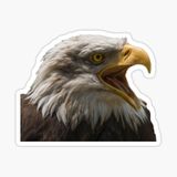 Araba İçin Kartal Oto Sticker Yapıştırması Etiket 17cm A9