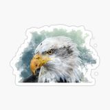 Araba İçin Kartal Oto Sticker Yapıştırması Etiket 17cm Aa1