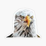 Araba İçin Kartal Oto Sticker Yapıştırması Etiket 17cm Aa3