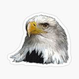 Araba İçin Kartal Oto Sticker Yapıştırması Etiket 17cm Aa4