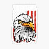 Araba İçin Kartal Oto Sticker Yapıştırması Etiket 17cm D3