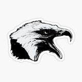 Araba İçin Kartal Oto Sticker Yapıştırması Etiket 17cm D5