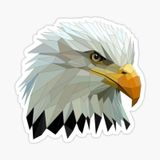 Araba İçin Kartal Oto Sticker Yapıştırması Etiket 17cm D7
