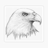 Araba İçin Kartal Oto Sticker Yapıştırması Etiket 17cm E4