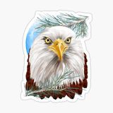 Araba İçin Kartal Oto Sticker Yapıştırması Etiket 17cm E5