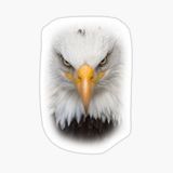 Araba İçin Kartal Oto Sticker Yapıştırması Etiket 17cm E7