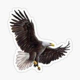 Araba İçin Kartal Oto Sticker Yapıştırması Etiket 17cm Q1