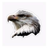 Araba İçin Kartal Oto Sticker Yapıştırması Etiket 17cm Q7