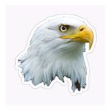 Araba İçin Kartal Oto Sticker Yapıştırması Etiket 17cm R2