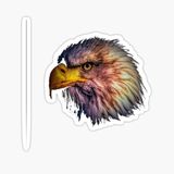 Araba İçin Kartal Oto Sticker Yapıştırması Etiket 17cm R3
