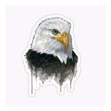 Araba İçin Kartal Oto Sticker Yapıştırması Etiket 17cm R4