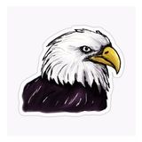 Araba İçin Kartal Oto Sticker Yapıştırması Etiket 17cm S3