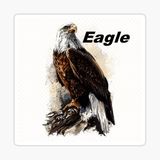 Araba İçin Kartal Oto Sticker Yapıştırması Etiket 17cm S4