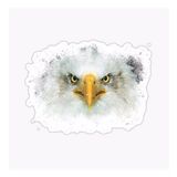 Araba İçin Kartal Oto Sticker Yapıştırması Etiket 17cm W1