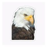 Araba İçin Kartal Oto Sticker Yapıştırması Etiket 17cm W7