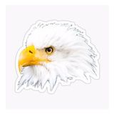 Araba İçin Kartal Oto Sticker Yapıştırması Etiket 17cm W8