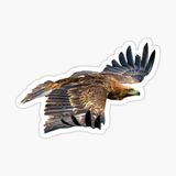 Araba İçin Kartal Oto Sticker Yapıştırması Etiket 17cm Z1