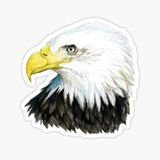 Araba İçin Kartal Oto Sticker Yapıştırması Etiket 17cm Z5