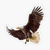 Araba İçin Kartal Oto Sticker Yapıştırması Etiket 17cm Z6