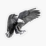Araba İçin Kartal Oto Sticker Yapıştırması Etiket 17cm Zz8