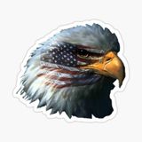 Araba İçin Kartal Sticker Yapıştırması Etiket Amerikan Bant 17cm