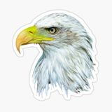 Araba İçin Kartal Sticker Yapıştırması Etiket Oto Leptop 17cm Z1