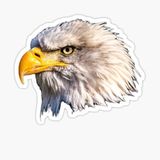 Araba İçin Kartal Sticker Yapıştırması Etiket Oto Leptop 17cm