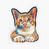 Araba Leptop İçin Kedi Oto Sticker Yapıştırması Etiket 17cm Z1