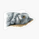 Araba Leptop İçin Kedi Oto Sticker Yapıştırması Etiket 17cm Z2