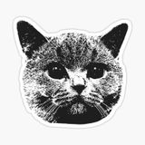 Araba Leptop İçin Kedi Oto Sticker Yapıştırması Etiket 17cm Z5
