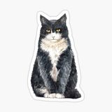 Araba Leptop İçin Kedi Oto Sticker Yapıştırması Etiket 17cm Z6