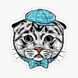 Araba Leptop İçin Kedi Oto Sticker Yapıştırması Etiket 17cm Z7
