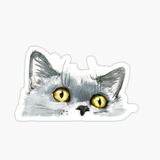 Araba Leptop İçin Kedi Tekir Sticker Yapıştırması Etiket 17cm A1