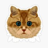 Araba Leptop İçin Kedi Tekir Sticker Yapıştırması Etiket 17cm A3