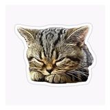 Araba Leptop İçin Kedi Tekir Sticker Yapıştırması Etiket 17cm A5