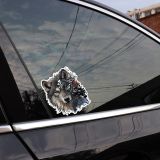 Araba Sticker mekanik kurt Sticker Yapıştırması