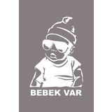 Arabada Bebek Var Araba Sticker Oto Sticker 18x12 Cm