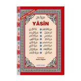 ARAPÇA FIHRISTLI YASIN-I ŞERIF (KOD:025) - ORTA BOY BILGISAYAR HATLI - HATICE SAĞLAM