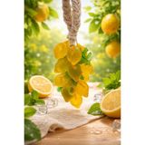 arbies beauty Doğal Limon Sabunu – El Yapımı | Ferah Kokulu | Dekoratif & Kullanışlı