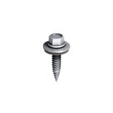 Arc Sivri Uçlu Ejot Tip Çatı Vidası 5,5x25 Mm (100 Adet)