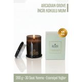 Arcadian Grove Incir Kokulu Mum 200 G - 1 Adet