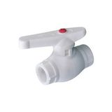 Arçe Küresel Vana 25 mm Pprc