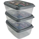 ARCLENA Gıda Saklama Kabı Erzak Saklama Kabı Meyve Sebze Et Balıkları Taze ve Kuru Tutmak Için 850 ml x 3'lü Set - Gri