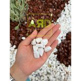 Ard Peyzaj Dolomit Taşı 10 kg 1-2 cm Beyaz Dolomit Taş Dere Çakıl Taşı Bahçe Süs Taşı - 1-2 Cm.