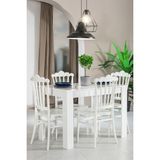 Arda / Artemis Mutfak Masa Takımı 1 Masa 4 Sandalye - Beyaz - Renkli