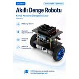 Arduino Akıllı Denge Robotu Pıd Sistemli 2Wd Programlanabilir Robot Araba Stem Robotik Eğitim Kiti