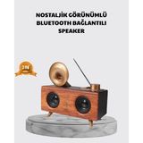 Arenes Nostaljik Gramofon Bluetooth Hoparlör – Fm Radyo + USB + Sd Kart Destekli ( Lisinya )